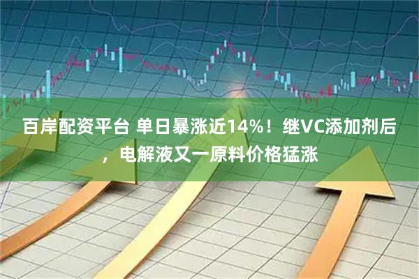 百岸配资平台 单日暴涨近14%！继VC添加剂后，电解液又一原料价格猛涨