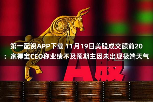 第一配资APP下载 11月19日美股成交额前20：家得宝CEO称业绩不及预期主因未出现极端天气