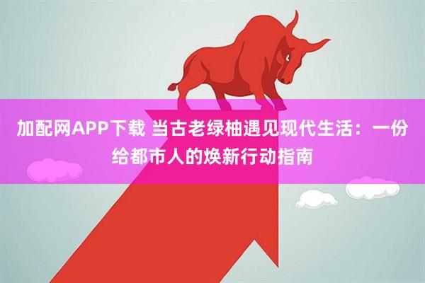 加配网APP下载 当古老绿柚遇见现代生活：一份给都市人的焕新行动指南